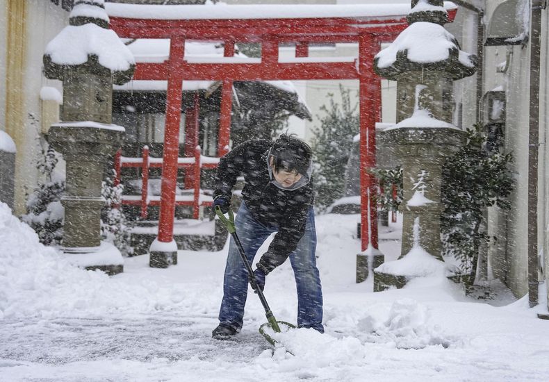 ASI-CLI ASIA-NEVADAS