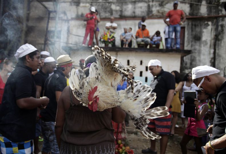 Santeros despiden el año con antiguo ritual.