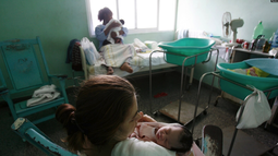 mueren ocho recien nacidos en hospital de la habana