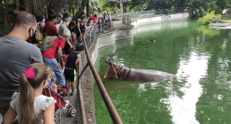 Zoologico cuba.png